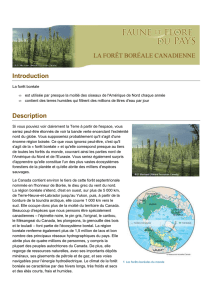 Fiche d`information - La forêt boréale canadienne