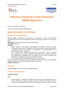 Infection à bactéries multi-résistantes (BMR) digestives
