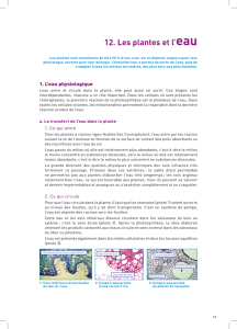 12. Les plantes et l`eau - Agence de l`Eau Seine Normandie