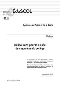 Ressources pour la classe de cinquième du collège