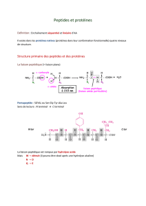 Peptides et protéines