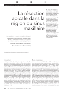 La résection apicale dans la région du sinus maxillaire