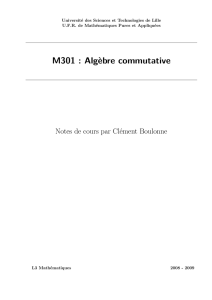 M301 : Algèbre commutative