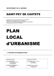 PLAN LOCAL d`URBANISME