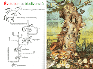 Biodiversité - uia-alencon.pagesperso