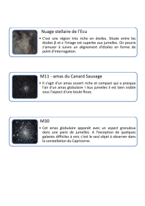 Nuage stellaire de l`Ecu M11 - amas du Canard - Erquy-nox
