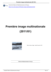 Première image multinationale (2011/01)