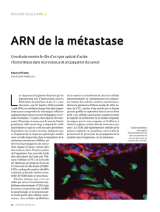 ARN de la métastase - Revista Pesquisa Fapesp