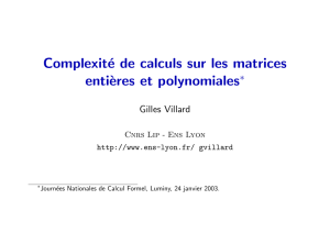Complexité de calculs sur les matrices enti`eres et polynomiales
