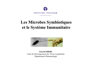 Les Microbes Symbiotiques et le Système Immunitaire