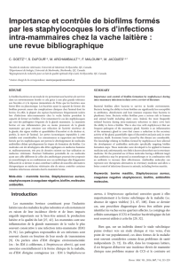 Importance et contrôle de biofilms formés par les staphylocoques