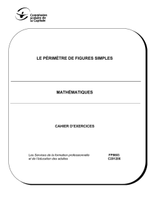 LE PÉRIMÈTRE DE FIGURES SIMPLES MATHÉMATIQUES