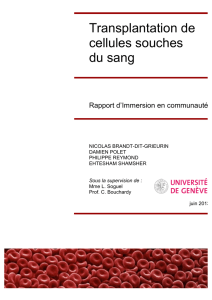 Transplantation de cellules souches du sang