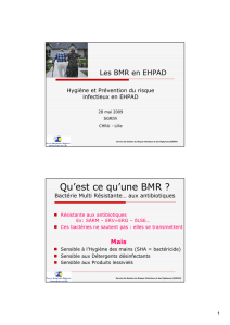 B.M.R. en Ehpad - CCLIN Paris-Nord