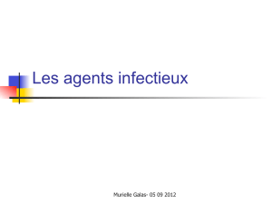 2013-10-03 – Dr GALAS – les infections