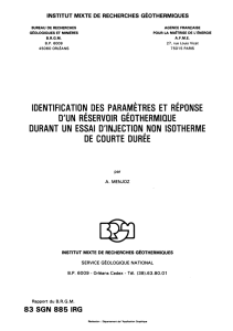 identification des parametres et reponse d`un - Infoterre