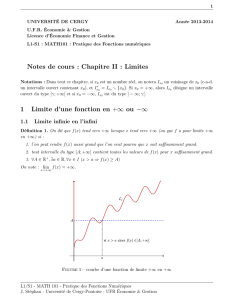 Notes de cours : Chapitre II : Limites 1 Limite d`une fonction en +∞ ou