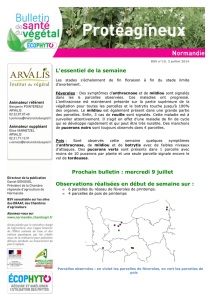 BSV n15 protéagineux Normandie_R2014 - ARVALIS