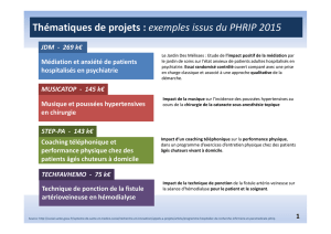 Thématiques de projets : exemples issus du PHRIP 2015