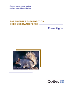 Paramètres d`exposition chez les mammifères – Écureuil gris. Fiche