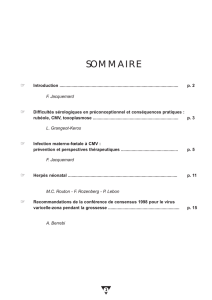 SOMMAIRE