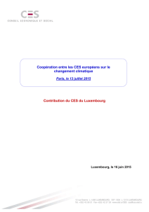 Contribution du CES du Luxembourg Coopération entre les CES