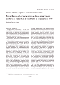Structure et connexions des neurones