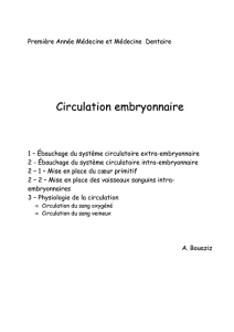 Circulation embryonnaire - medecine dentaire alger 2014-2015