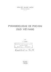 Pyramidellidar de Pho-Hai (sud Viet-Nam)