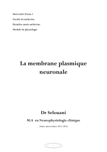 La membrane plasmique neuronale