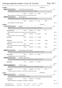 Catalogue pépinière plantes vivaces B. Lacrouts Print. 2017