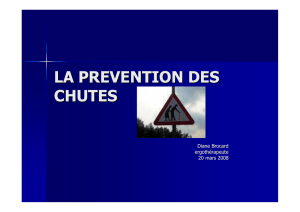 prévention des chutes 20 mars 2008
