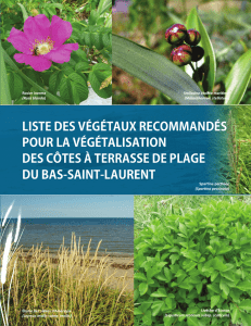 Liste des végétaux recommandés pour La végétaLisation des côtes