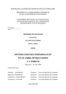 optimisation des performances d`une fibre optique dopee a l`erbium