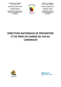 directives nationales de prevention et de prise en charge du vih au