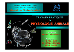 TP - Faculté des Sciences de Rabat
