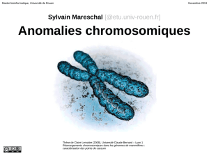 Anomalies chromosomiques
