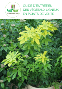 Guide d`entretien des véGétaux liGneux en points de vente