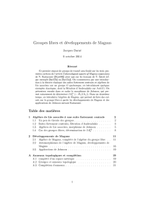 Groupes libres et développements de Magnus