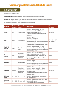 Semis et plantations de début de saison - tournesol