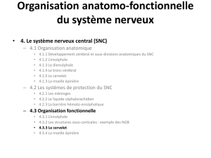 organisat anatomofonction SNC LS24