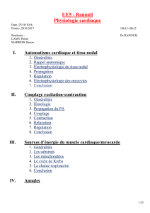 p2-ue5-ranouil-physiologie_cardiaque-25-10-16-pdf