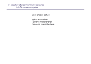Structure et organisatio des génomes