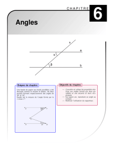 Cours et activités