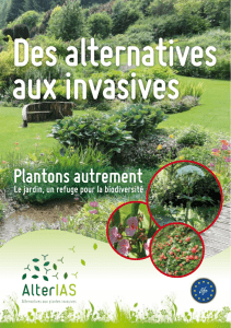 Des alternatives aux invasives