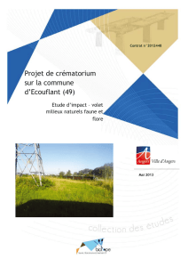 Projet de crématorium sur la commune d`Ecouflant (49)