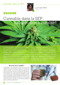 cannabis dans la SEP : hallucination ou réalité