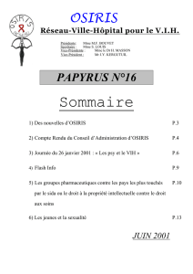 papyrus n° 16