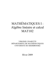 MATHÉMATIQUES I : Algèbre linéaire et calcul MAT102