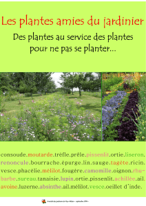 Les plantes amies du jardinier - jardiniers du Puy